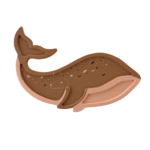 Wally Whale